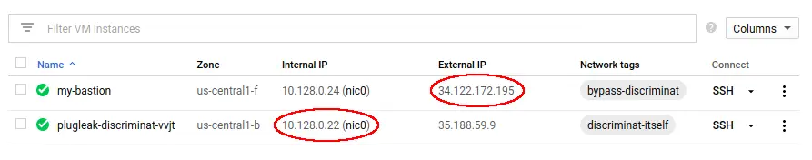 GCP VM External and Internal IPs