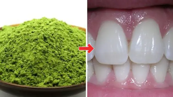 Wheatgrass Powder For Teeth: Powerful If Used 2 Times Per Day!