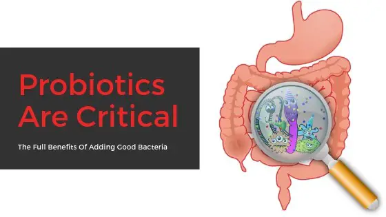 Powerful Benefits To Taking Probiotics For Teeth And Gums