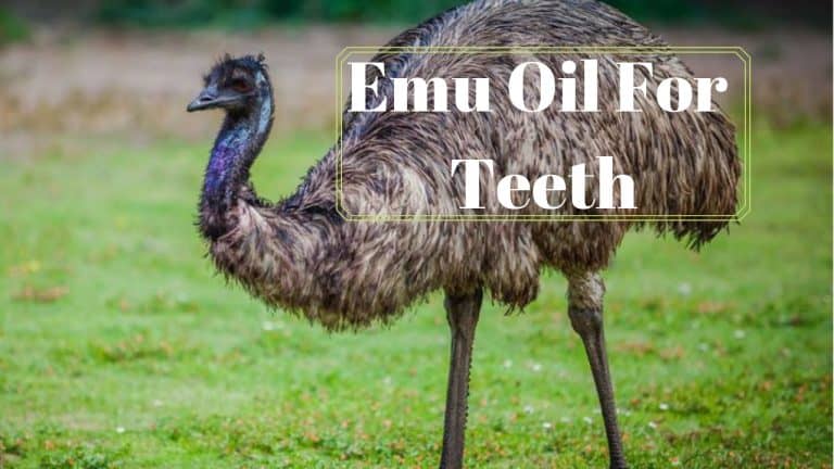 Emu Oil For Teeth Is Powerful When Taken Properly!